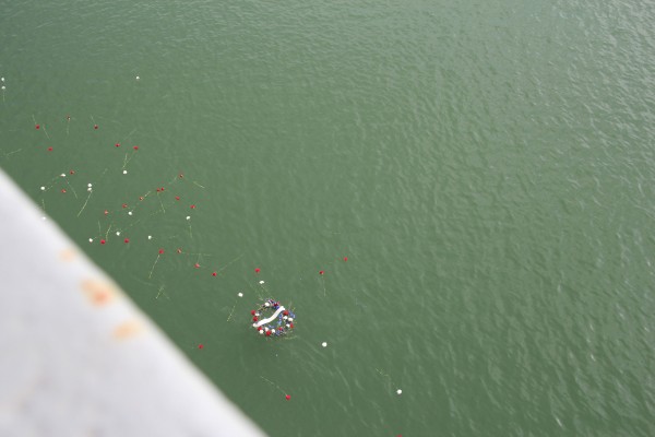 The memorial wreath and flowers float in Richmond harbor following a Veteran's Day celebration onboard the SS Red Oak Victory. (Photo by: Kevin N. Hume)